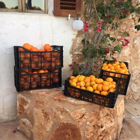 Alloggio per agriturismo Son Pou 3*