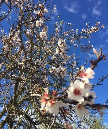 Son Pou Alloggio per agriturismo 3*